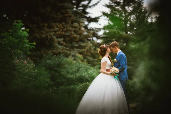 新娘和新郎站在大自然的背景上 — 图库照片