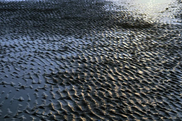 Jordstruktur Stranden Efter Tidvattnet — Stockfoto