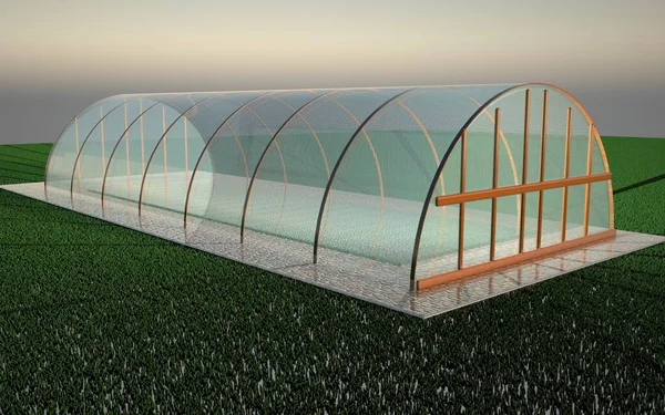 Transparent Greenhouse Green Grass Rendering — Stock Photo, Image