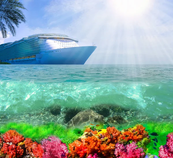 Collage Arrecife Coral Submarino Mar Crucero — Foto de Stock
