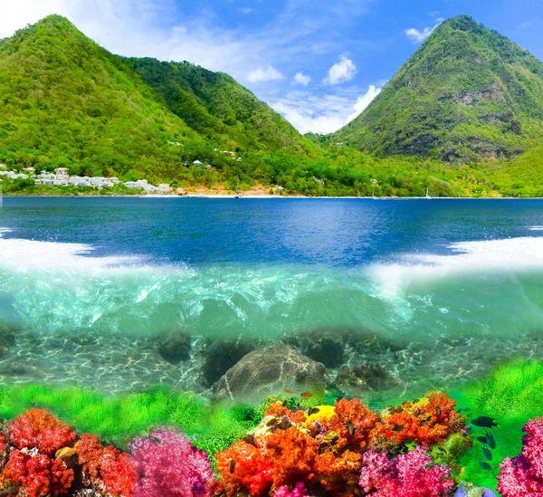 美丽的白色沙滩在圣卢西亚 加勒比群岛 海洋水下珊瑚礁拼贴 — 图库照片