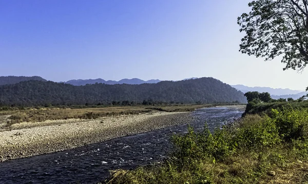 Panorama Rio Ramganga Parque Nacional Jim Corbett Índia — Fotografia de Stock