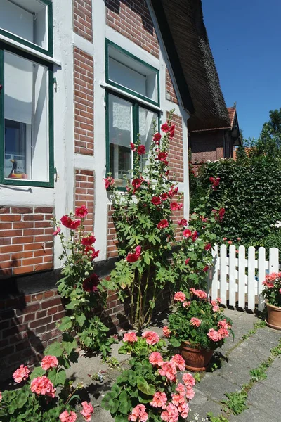 Été Rural Maison Colombages Fleurs Dans Nord Allemagne Altes Land — Photo