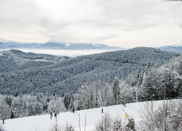 Skieurs Dans Les Bois Sur Une Piste Ski Thème Des — Photo