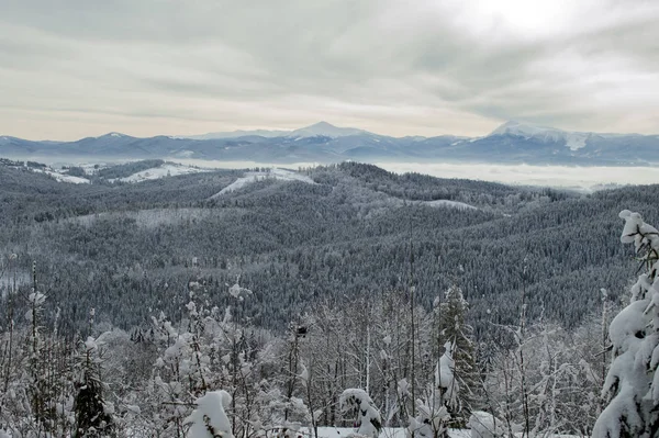 Piękny Zimowy Ośrodek Narciarski Temat Sportów Górskich Narciarstwo Bukowel Karpaty — Zdjęcie stockowe