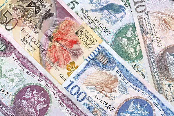 Гроші Від Тринідаду Тобаго — стокове фото