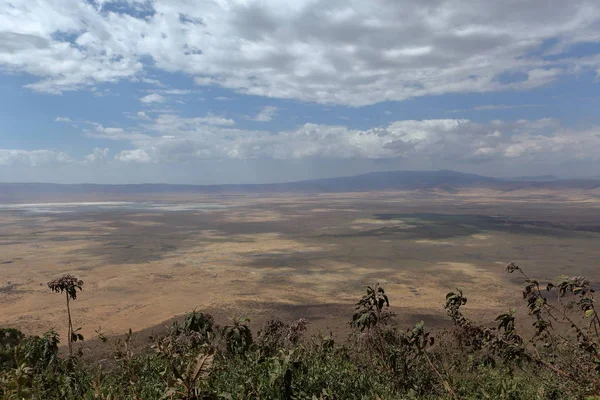 Cratera Ngorongoro Tanzânia — Fotografia de Stock