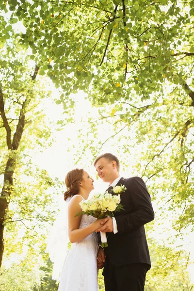 Park Geçmişinde Bir Çift Gelin Damat — Stok fotoğraf