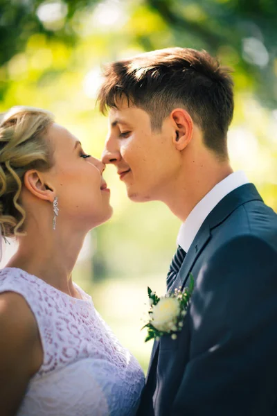 Porträtt Bruden Och Brudgummen Bakgrunden Park Gränden — Stockfoto