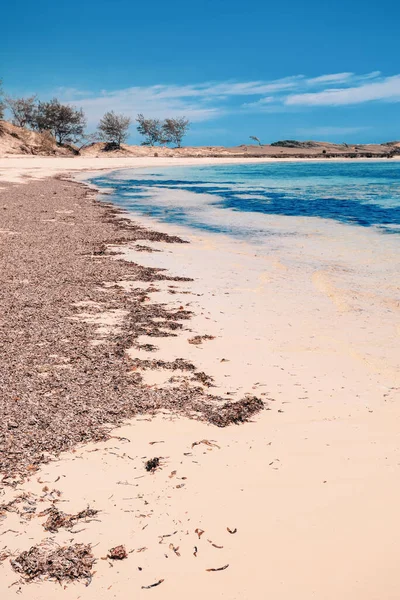 アンツィラナナの干潮 ディエゴ スアレス湾 インド洋 マダガスカルの美しい処女自然砂の楽園ビーチ — ストック写真