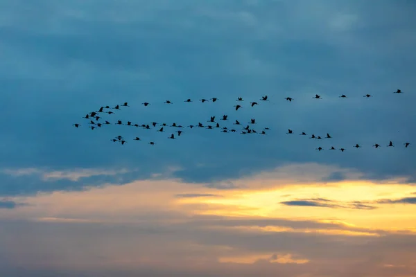 Beau Ciel Nocturne Ciel Lunaire — Photo