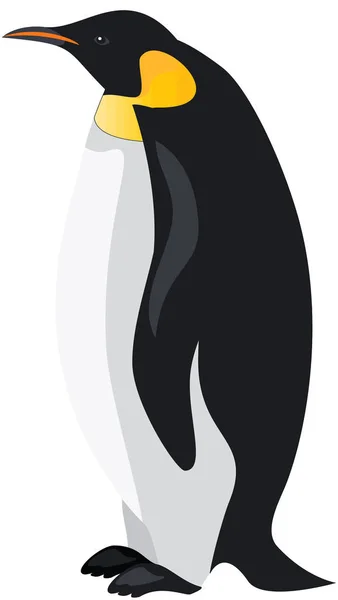 Pinguin Winter Eiskalt Wildtiere Vogel Polar Illustration — Stockfoto