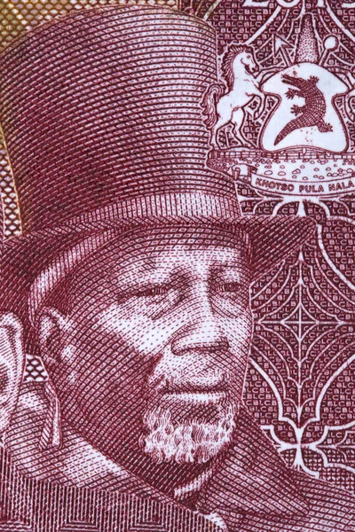 Moshoeshoe Portrét Lesotho Peníze — Stock fotografie