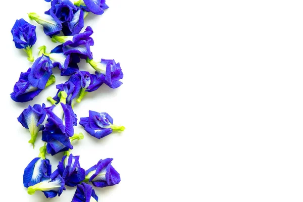 Μπλε Πεταλούδα Λουλούδια Μπιζέλι Απομονώνονται Λευκό Φόντο Αντίγραφο Χώρου — Φωτογραφία Αρχείου