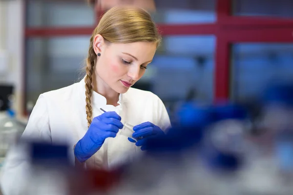 Porträtt Kvinnlig Forskare Som Forskar Ett Kemilabb Färgtonad Bild — Stockfoto