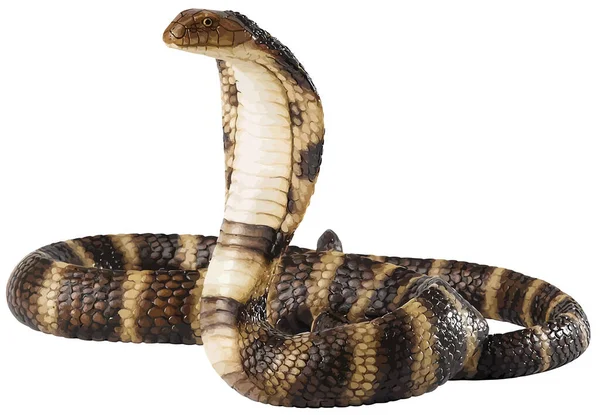 Serpente Pericoloso Rettile Carnivoro — Foto Stock