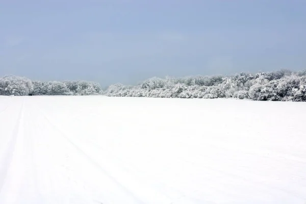 Χειμερινό Πάρκο Στο Χιόνι Frankenthal Γερμανία — Φωτογραφία Αρχείου