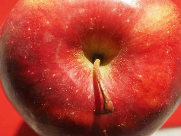 Roter Apfel Malus Domestica Obst Vegetarische Kost — Stockfoto