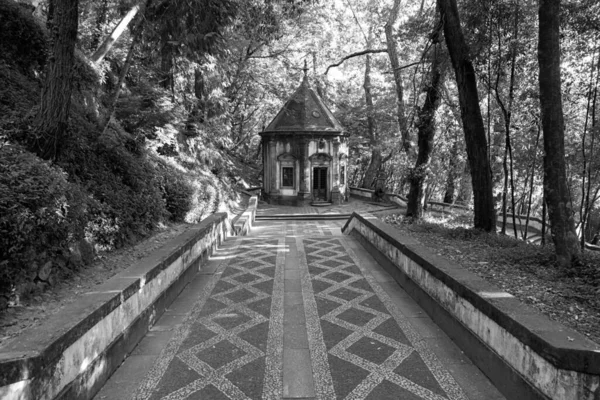 Caminhada Religiosa Natureza Detalhe Bom Jesus Braga Portuga Local Pregrinación — Fotografia de Stock