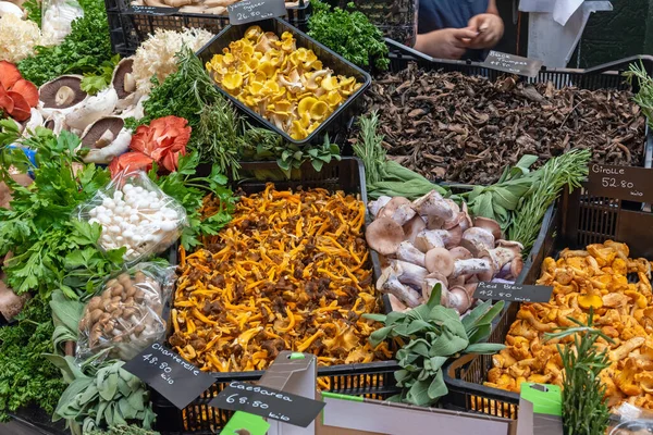 Different Kinds Mushrooms Sale Market London — Stock Photo, Image