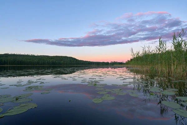 Fioletowe Refleksje Nad Jeziorem Środku Lata — Zdjęcie stockowe