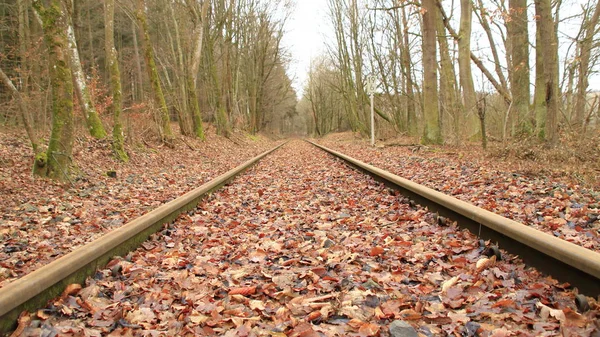 Railway Tracks Run Straight Away Viewer — Stock Photo, Image