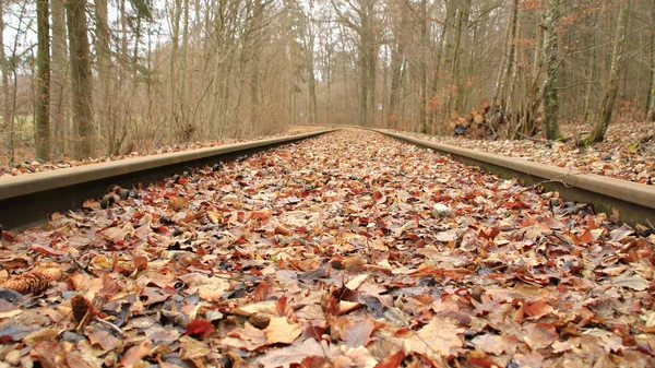 Railway Tracks Run Straight Away Viewer — Stock Photo, Image
