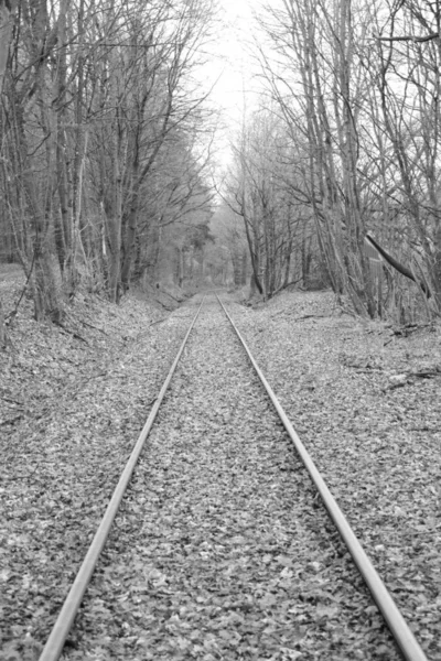 Trilhas Ferroviárias Correm Imediatamente Espectador Imagem Foi Desenvolvida Preto Branco — Fotografia de Stock