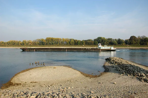 Low Tide River Rhine — 스톡 사진