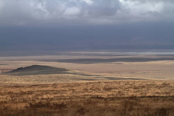 Savanne Van Serengeti Tanzania — Stockfoto