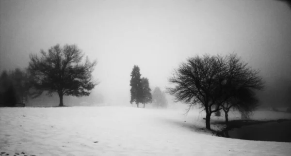 Zimní Krajina Bezlistými Stromy Břehu Jezera — Stock fotografie