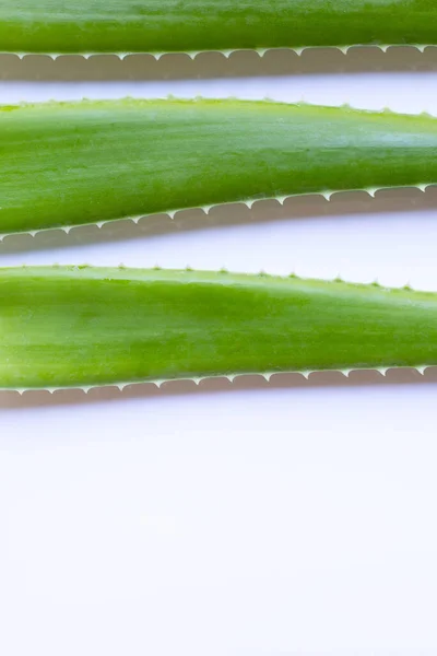 Aloe Vera Taze Yaprakları Beyaz Arka Plan Üzerinde Kopya Alanı — Stok fotoğraf