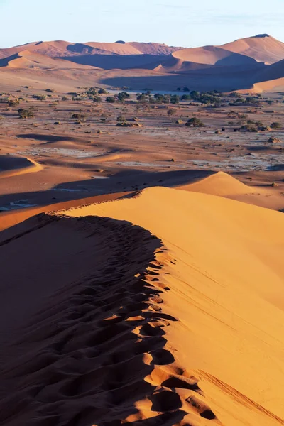 Mooie Vanaf Bovenkant Van Duin Dead Vlei Landschap Namibwoestijn Dode — Stockfoto