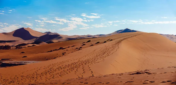 Belas Cores Noite Escondido Paisagem Dead Vlei Deserto Namib Árvores — Fotografia de Stock
