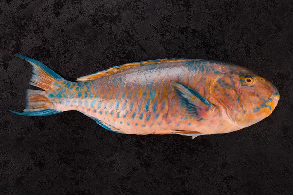 Parrotfish Colorido Fresco Fundo Preto Deliciosa Alimentação Saudável Frutos Mar — Fotografia de Stock