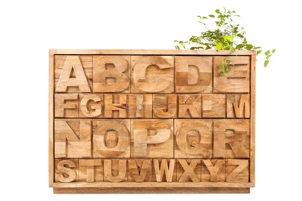 Armoire Alphabet Bois Avec Plante Verte Isolée Sur Blanc Organisateur — Photo