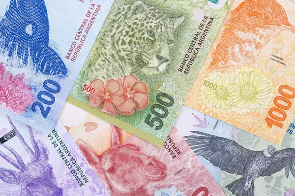 Neue Argentinische Pesos Mit Unternehmerischem Hintergrund — Stockfoto