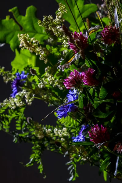 Bouquet with clover and cornflower. Flowers on dark background. Nature flower. Rural flowers on black background. Floral bouquet from wild summer flowers on dark background. ..