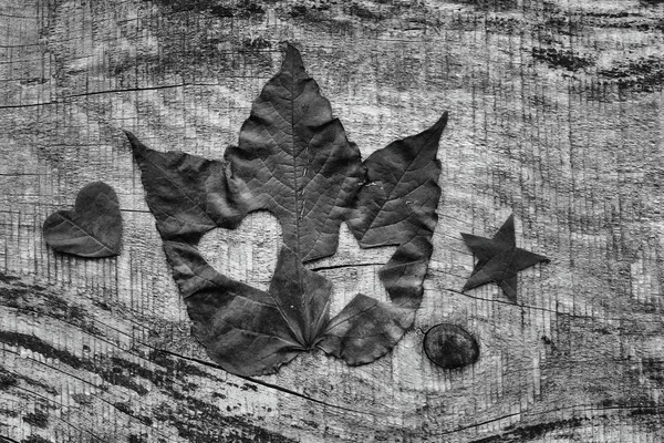 Herbstblatt Mit Herz Und Schneeflocke Schwarz Weiß Liebe Zum Herbst — Stockfoto