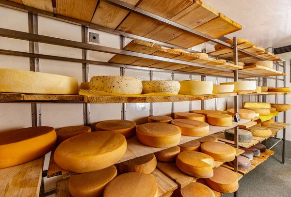棚にチーズの種類 — ストック写真