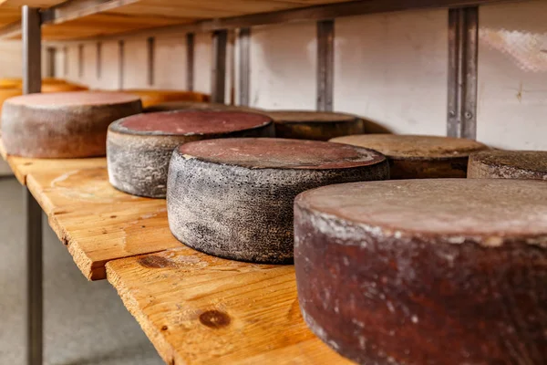 Wielen Van Veroudering Kaas Houten Planken — Stockfoto