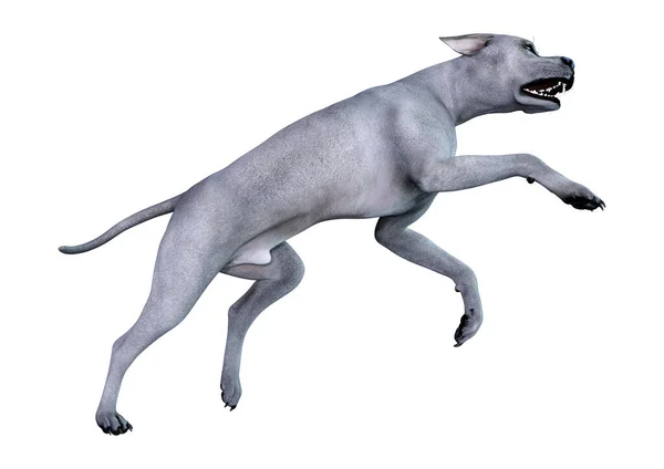 Renderização Cão Great Dane Azul Isolado Fundo Branco — Fotografia de Stock