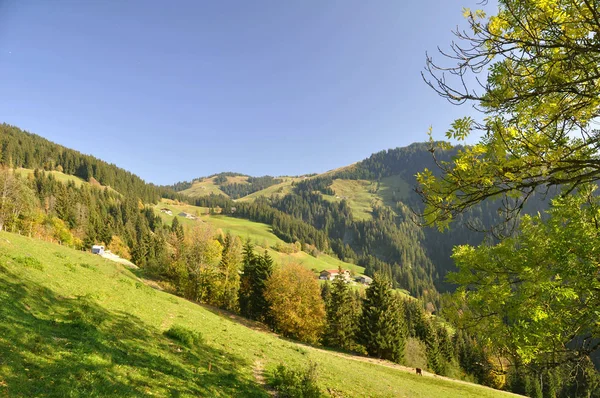 Austria Wilder Kaiser Tirolo — Foto Stock