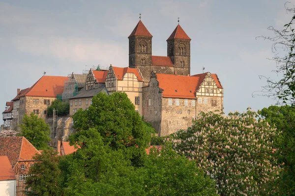 Quedlinburg Manastırının Akşam Güneşindeki Panoramik Görüntüsü Almanya Avrupa — Stok fotoğraf