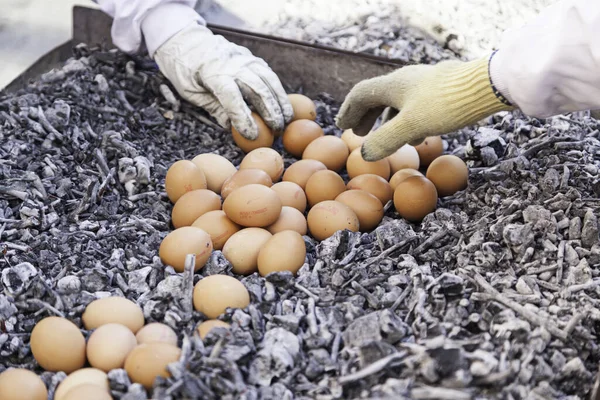 Huevos Una Parrilla Carbón Detalle Cómo Cocinar Algunos Huevos Piensos —  Fotos de Stock