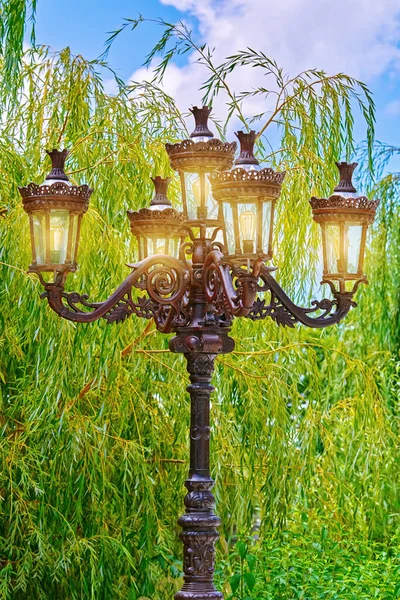 Stara Lampa Uliczna Tle Wierzby — Zdjęcie stockowe