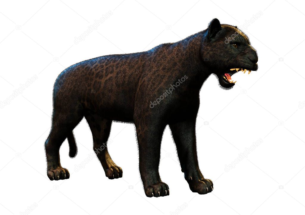 PantherMediaSeller