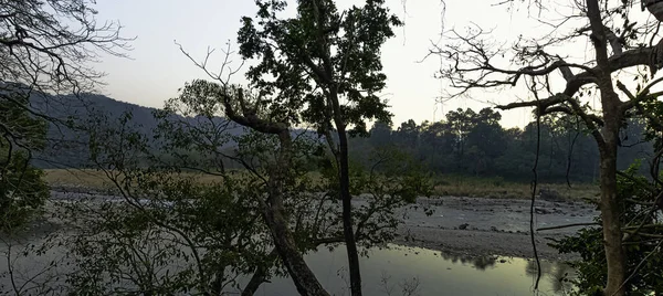 Solnedgang Ramganga Floden Jim Corbett National Park Indien - Stock-foto