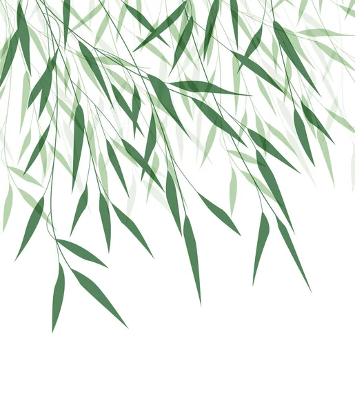 Ilustración Vectorial Hoja Bambú Fondo Natural Con Hojas Verdes —  Fotos de Stock