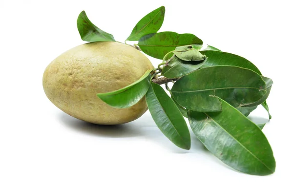 Fresh Sapodilla Tropical Fruit Isolated White Background — Stock Photo, Image